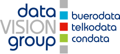 logo datavisiongroup Logo